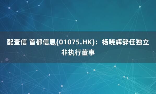 配查信 首都信息(01075.HK)：杨晓辉辞任独立非执行董事