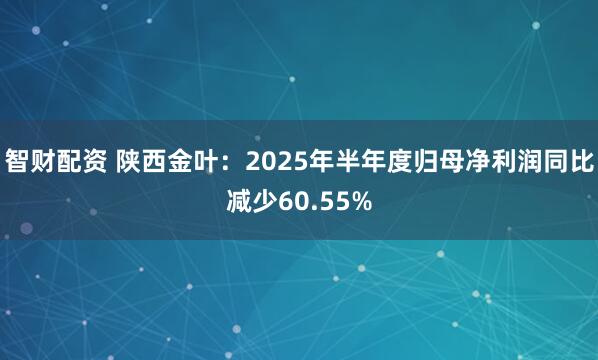 智财配资 陕西金叶：2025年半年度归母净利润同比减少60.55%