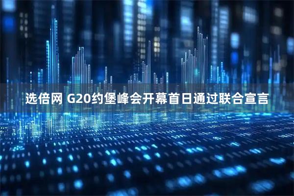 选倍网 G20约堡峰会开幕首日通过联合宣言